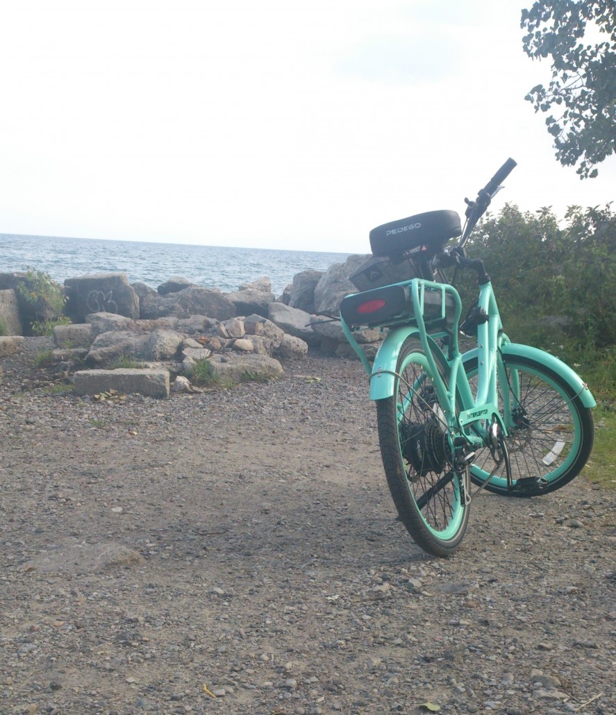 liis-on-life-pedego-electric-bike